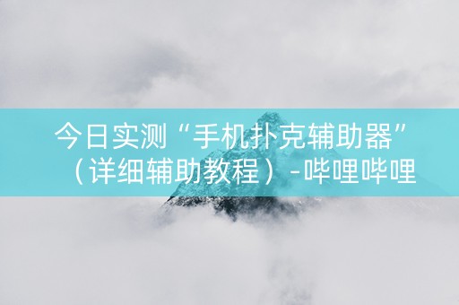 今日实测“手机扑克辅助器”（详细辅助教程）-哔哩哔哩