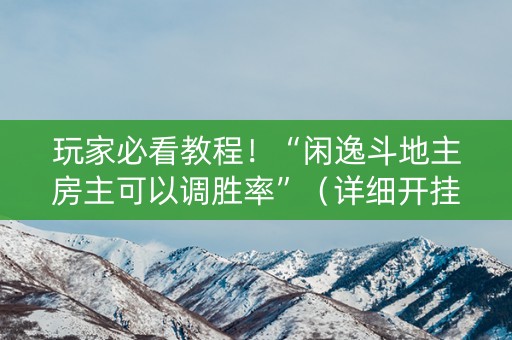 玩家必看教程！“闲逸斗地主房主可以调胜率”（详细开挂教程）-哔哩哔哩