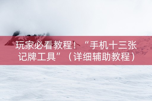玩家必看教程！“手机十三张记牌工具”（详细辅助教程）-哔哩哔哩