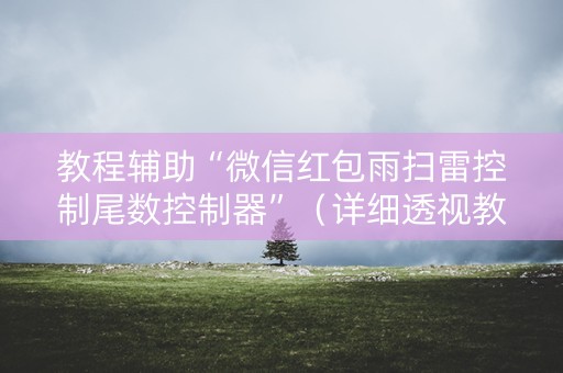 教程辅助“微信红包雨扫雷控制尾数控制器”（详细透视教程）-哔哩哔哩