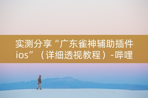实测分享“广东雀神辅助插件ios”（详细透视教程）-哔哩哔哩
