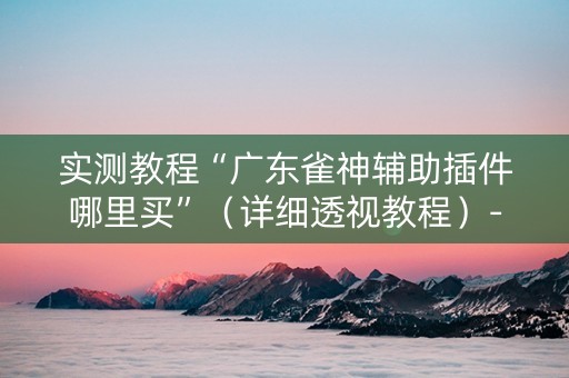 实测教程“广东雀神辅助插件哪里买”（详细透视教程）-哔哩哔哩