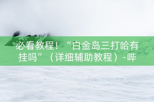 详细阅读:必看教程!“白金岛三打哈有挂吗”(详细辅助教程)-哔哩哔哩 必看教程!“白金岛三打哈有挂吗”(详细辅助教程)-哔哩哔哩
