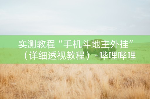 实测教程“手机斗地主外挂”（详细透视教程）-哔哩哔哩