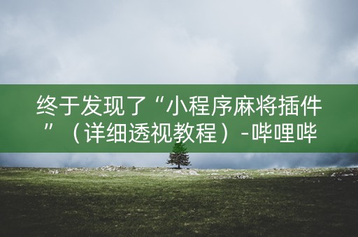终于发现了“小程序麻将插件”（详细透视教程）-哔哩哔哩