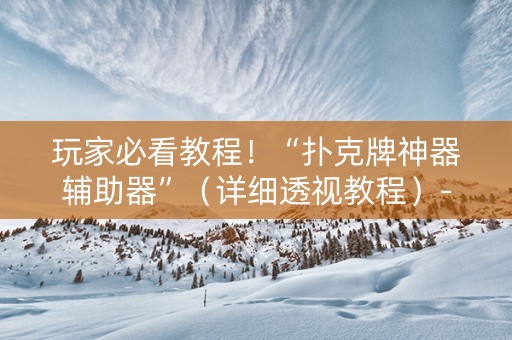玩家必看教程！“扑克牌神器辅助器”（详细透视教程）-哔哩哔哩