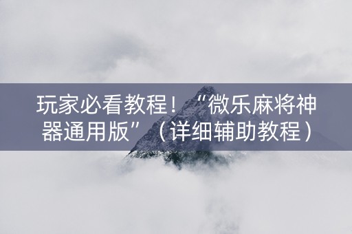 玩家必看教程！“微乐麻将神器通用版”（详细辅助教程）-哔哩哔哩