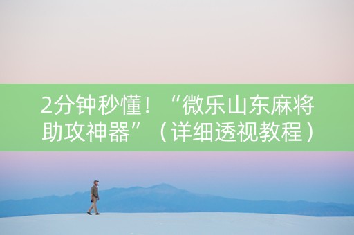 2分钟秒懂！“微乐山东麻将助攻神器”（详细透视教程）-哔哩哔哩