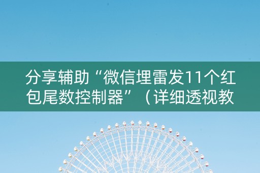 分享辅助“微信埋雷发11个红包尾数控制器”（详细透视教程）-哔哩哔哩