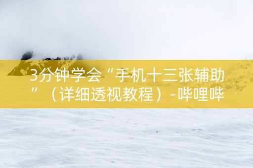 3分钟学会“手机十三张辅助”（详细透视教程）-哔哩哔哩