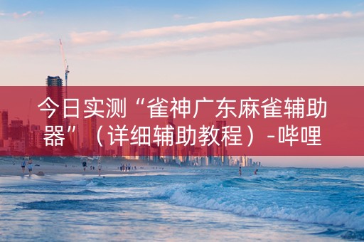 今日实测“雀神广东麻雀辅助器”（详细辅助教程）-哔哩哔哩
