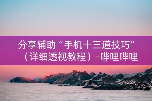 分享辅助“手机十三道技巧”（详细透视教程）-哔哩哔哩