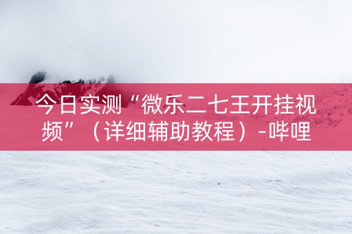 今日实测“微乐二七王开挂视频”（详细辅助教程）-哔哩哔哩