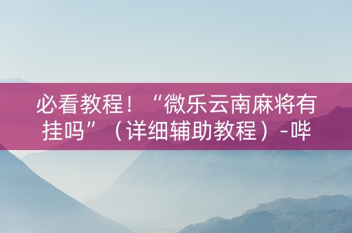 必看教程！“微乐云南麻将有挂吗”（详细辅助教程）-哔哩哔哩
