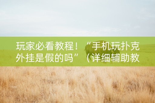 玩家必看教程！“手机玩扑克外挂是假的吗”（详细辅助教程）-哔哩哔哩