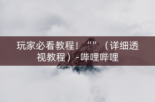 玩家必看教程！“”（详细透视教程）-哔哩哔哩