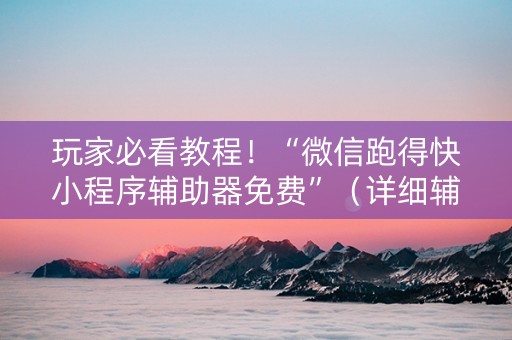 玩家必看教程！“微信跑得快小程序辅助器免费”（详细辅助教程）-哔哩哔哩