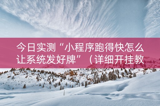 今日实测“小程序跑得快怎么让系统发好牌”（详细开挂教程）-哔哩哔哩