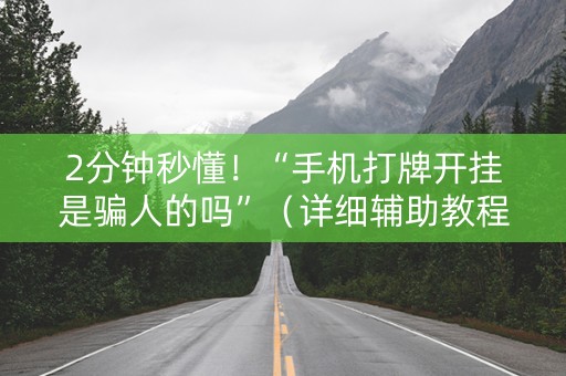 2分钟秒懂！“手机打牌开挂是骗人的吗”（详细辅助教程）-哔哩哔哩