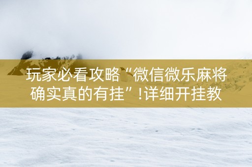 玩家必看攻略“微信微乐麻将确实真的有挂”!详细开挂教程-知乎
