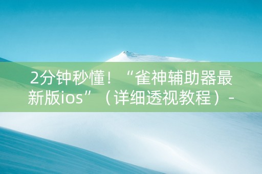 2分钟秒懂！“雀神辅助器最新版ios”（详细透视教程）-哔哩哔哩