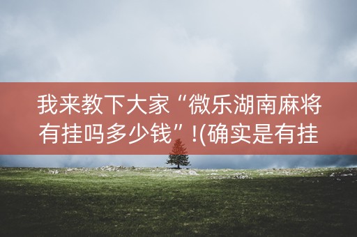 我来教下大家“微乐湖南麻将有挂吗多少钱”!(确实是有挂)-知乎
