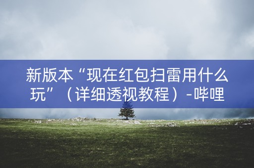 新版本“现在红包扫雷用什么玩”（详细透视教程）-哔哩哔哩