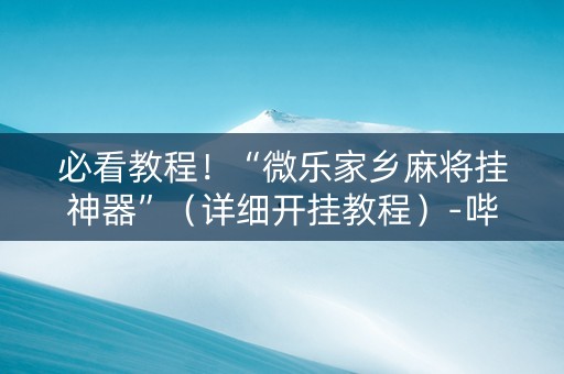 必看教程！“微乐家乡麻将挂神器”（详细开挂教程）-哔哩哔哩