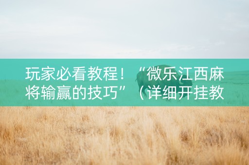 玩家必看教程！“微乐江西麻将输赢的技巧”（详细开挂教程）-哔哩哔哩
