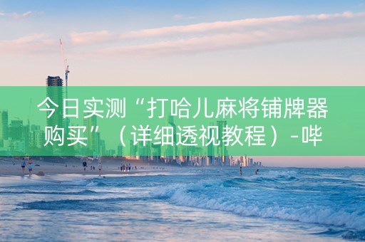今日实测“打哈儿麻将铺牌器购买”（详细透视教程）-哔哩哔哩