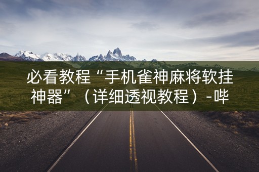 必看教程“手机雀神麻将软挂神器”（详细透视教程）-哔哩哔哩