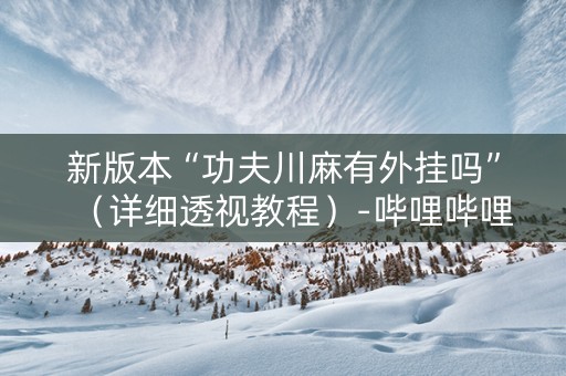 新版本“功夫川麻有外挂吗”（详细透视教程）-哔哩哔哩