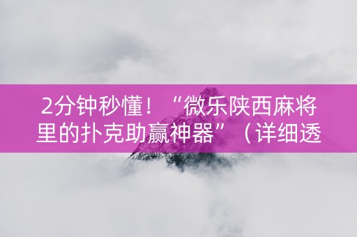 2分钟秒懂！“微乐陕西麻将里的扑克助赢神器”（详细透视教程）-哔哩哔哩