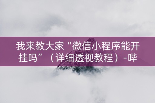 我来教大家“微信小程序能开挂吗”（详细透视教程）-哔哩哔哩