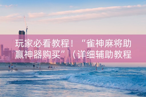 玩家必看教程！“雀神麻将助赢神器购买”（详细辅助教程）-哔哩哔哩
