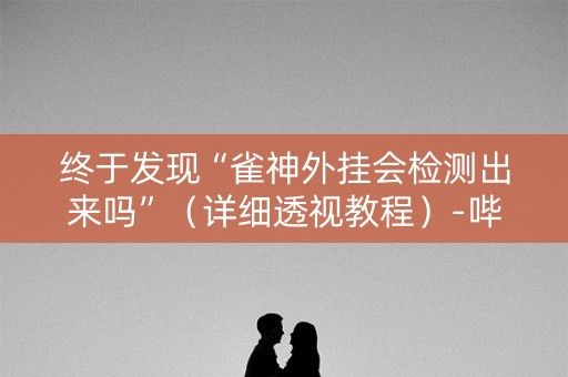 终于发现“雀神外挂会检测出来吗”（详细透视教程）-哔哩哔哩