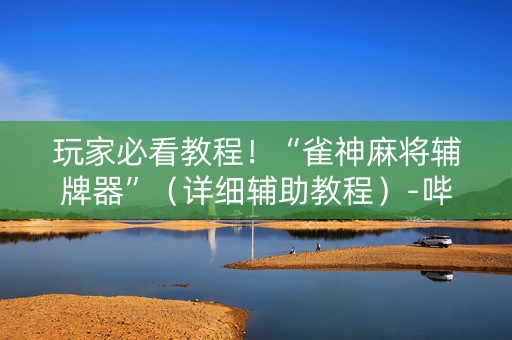 玩家必看教程！“雀神麻将辅牌器”（详细辅助教程）-哔哩哔哩