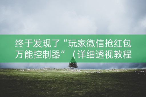 终于发现了“玩家微信抢红包万能控制器”（详细透视教程）-哔哩哔哩