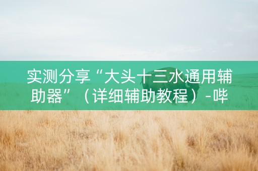 实测分享“大头十三水通用辅助器”（详细辅助教程）-哔哩哔哩