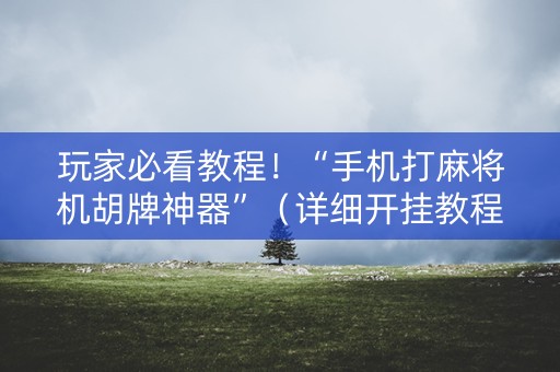 玩家必看教程！“手机打麻将机胡牌神器”（详细开挂教程）-哔哩哔哩