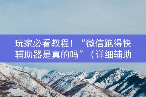 玩家必看教程！“微信跑得快辅助器是真的吗”（详细辅助教程）-哔哩哔哩