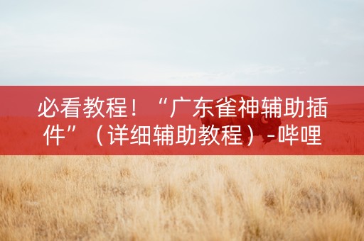必看教程！“广东雀神辅助插件”（详细辅助教程）-哔哩哔哩