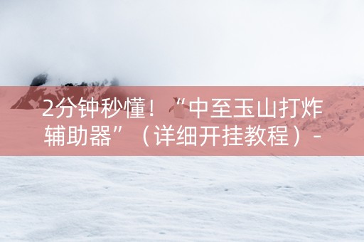 2分钟秒懂！“中至玉山打炸辅助器”（详细开挂教程）-哔哩哔哩