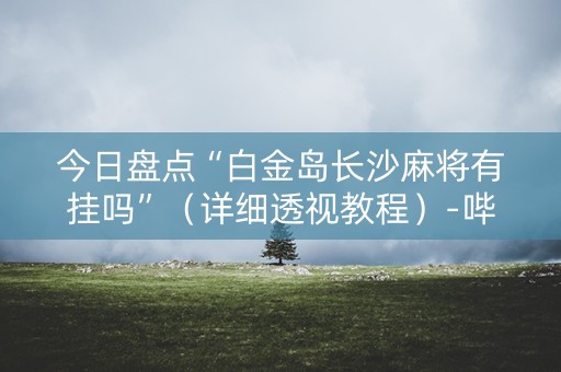 今日盘点“白金岛长沙麻将有挂吗”（详细透视教程）-哔哩哔哩