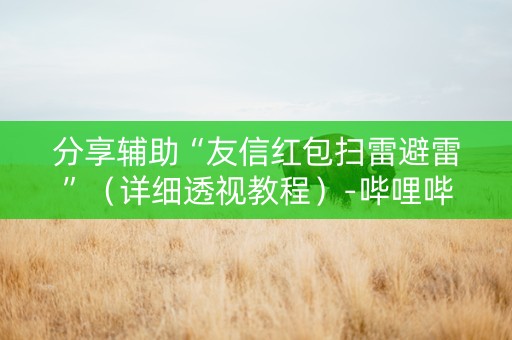 分享辅助“友信红包扫雷避雷”（详细透视教程）-哔哩哔哩