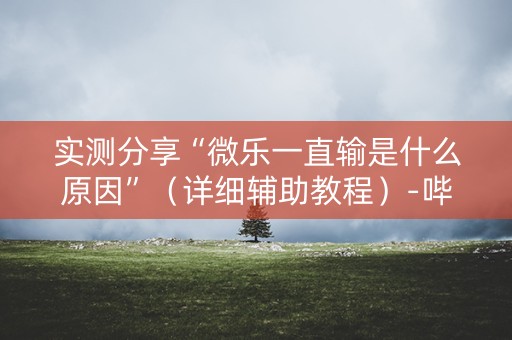 实测分享“微乐一直输是什么原因”（详细辅助教程）-哔哩哔哩