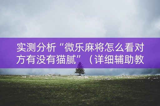 实测分析“微乐麻将怎么看对方有没有猫腻”（详细辅助教程）-哔哩哔哩