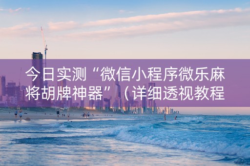 今日实测“微信小程序微乐麻将胡牌神器”（详细透视教程）-哔哩哔哩