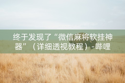 终于发现了“微信麻将软挂神器”（详细透视教程）-哔哩哔哩