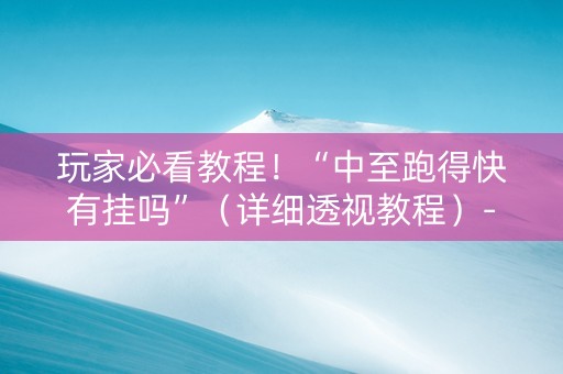 玩家必看教程！“中至跑得快有挂吗”（详细透视教程）-哔哩哔哩